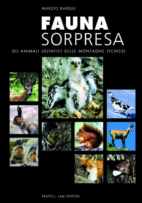 Fauna sorpresa