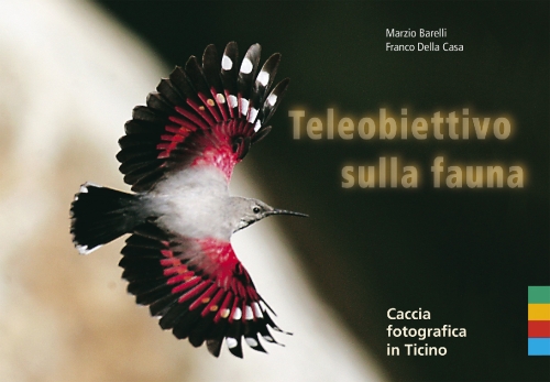 Teleobiettivo sulla fauna