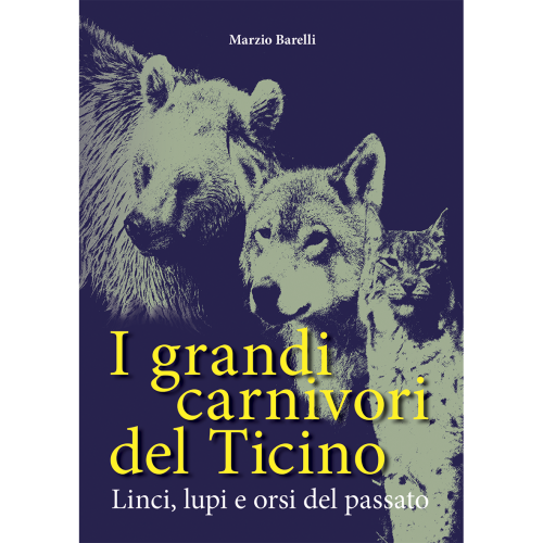 I grandi carnivori del Ticino